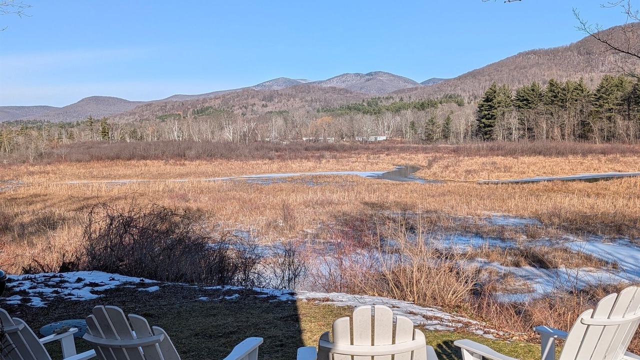 Photo of Others in Dorset