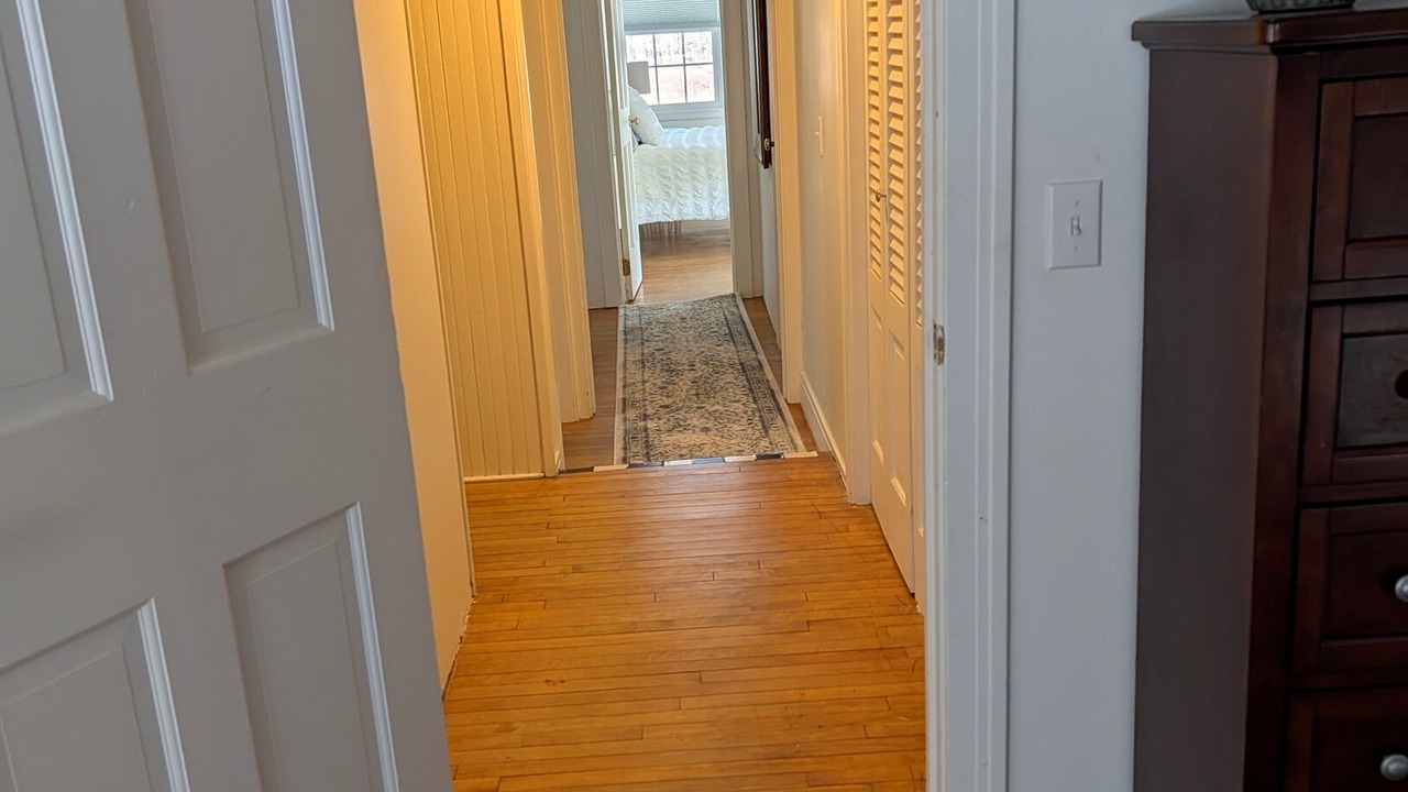 Photo of Others in Dorset