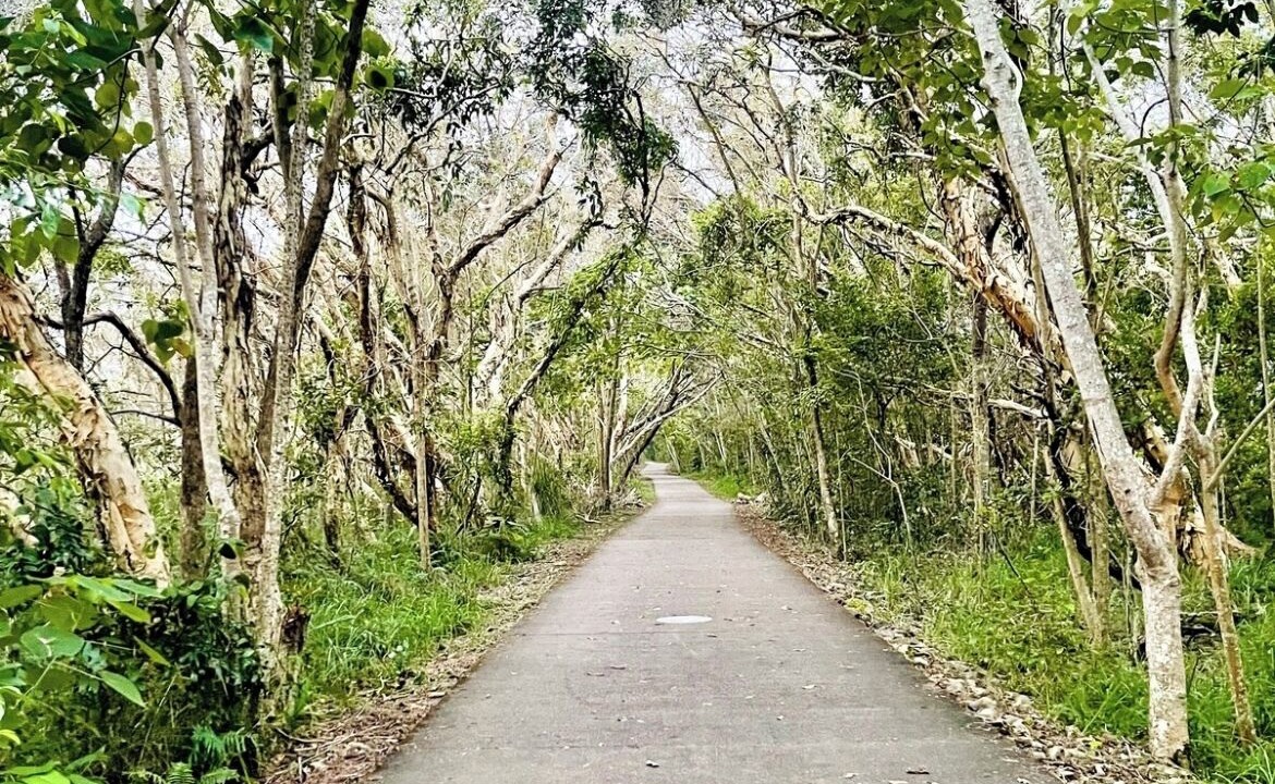 Photo of Others in Marcoola