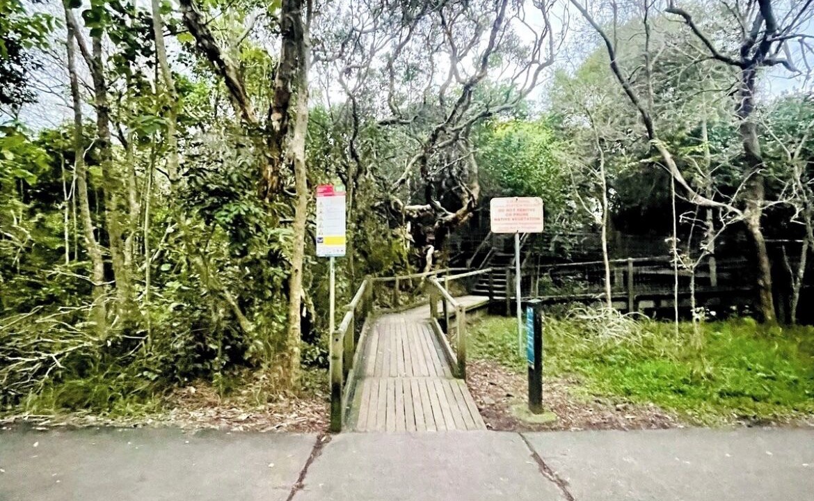 Photo of Others in Marcoola