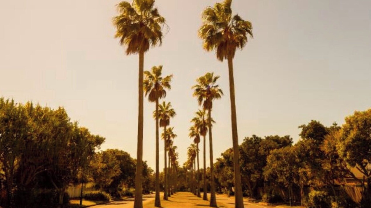 Photo of Others in Marcoola