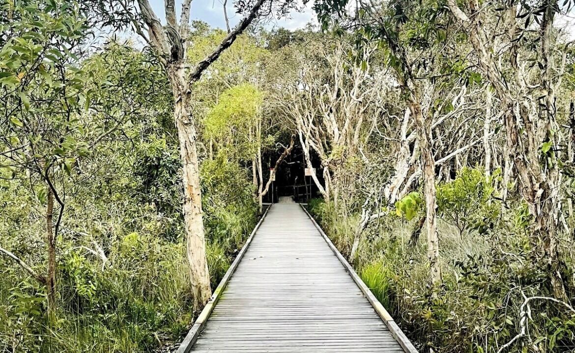 Photo of Others in Marcoola