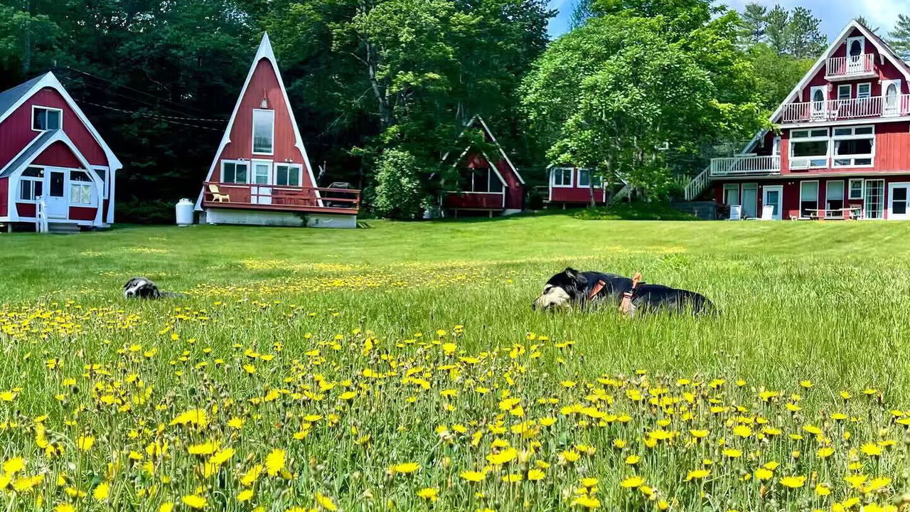 Photo of Outdoor in Campton