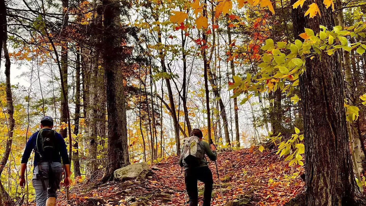 Photo of Others in Campton