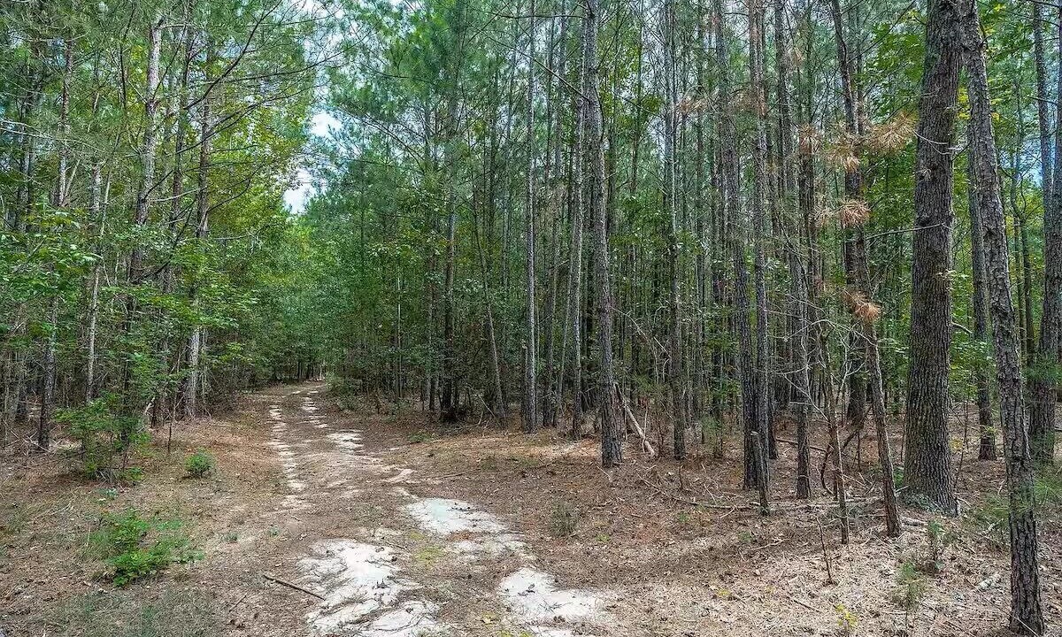 Photo of Others in Winnsboro
