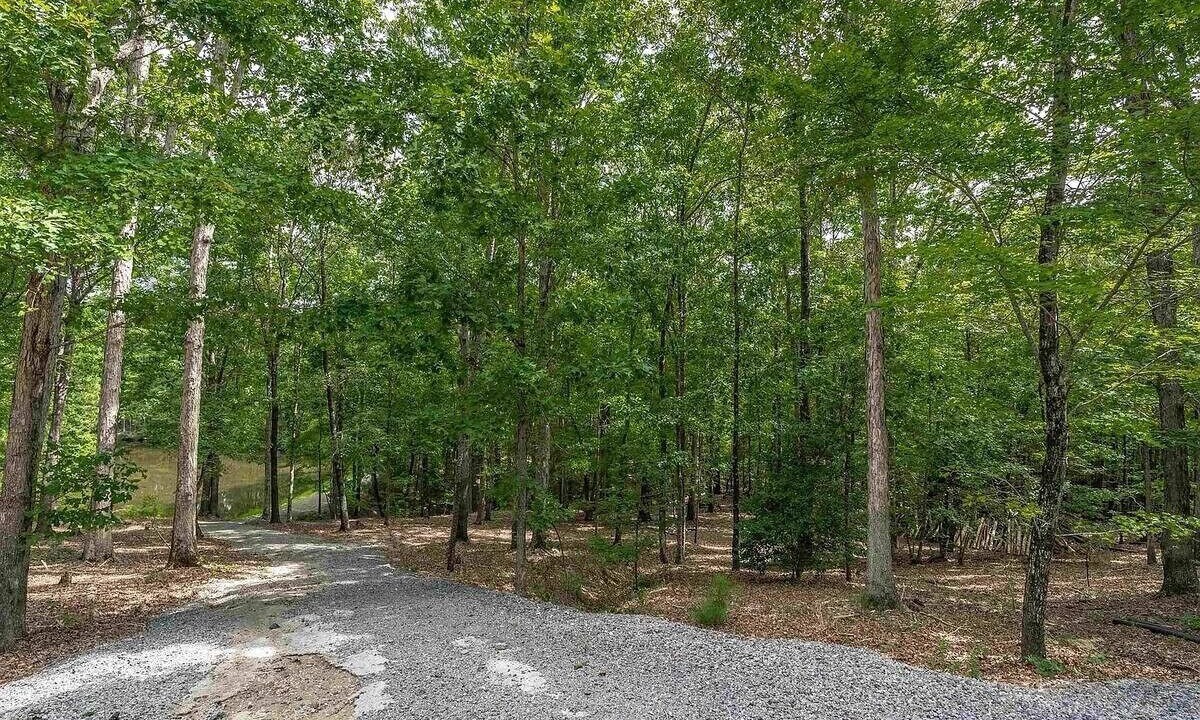 Photo of Others in Winnsboro