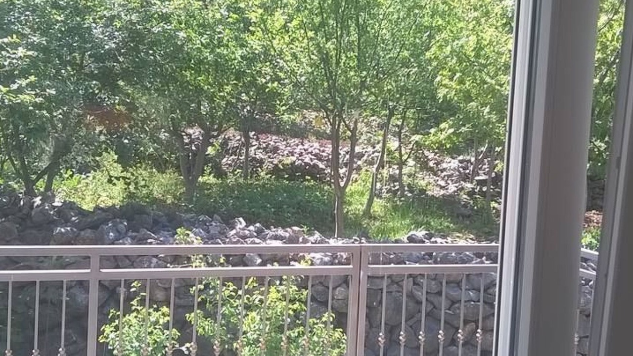 Photo of Others in Grubine