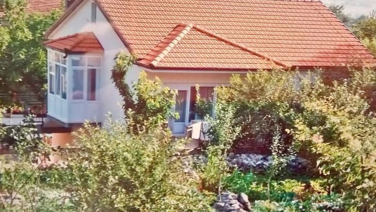Photo of Others in Grubine