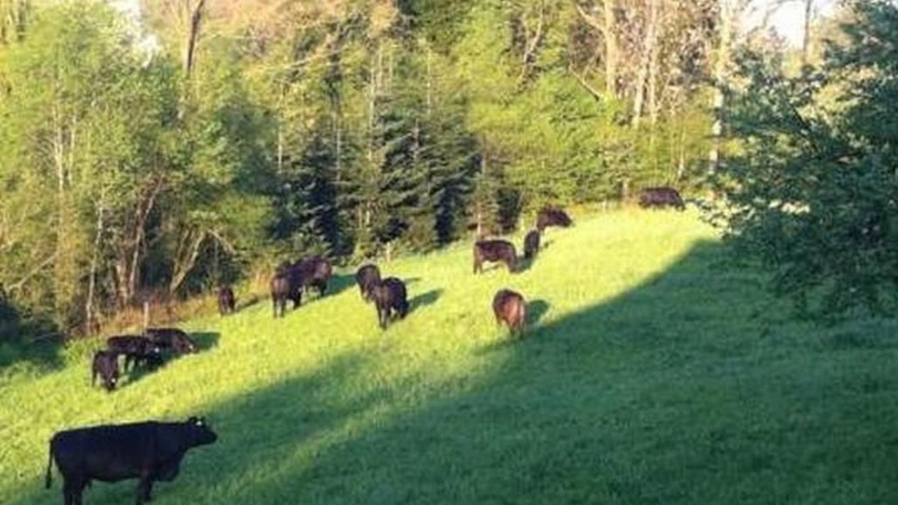 Photo of Others in Egnach