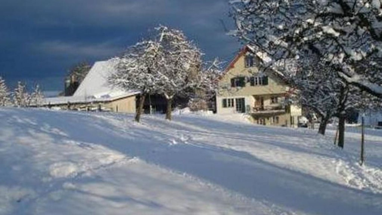 Photo of Others in Egnach