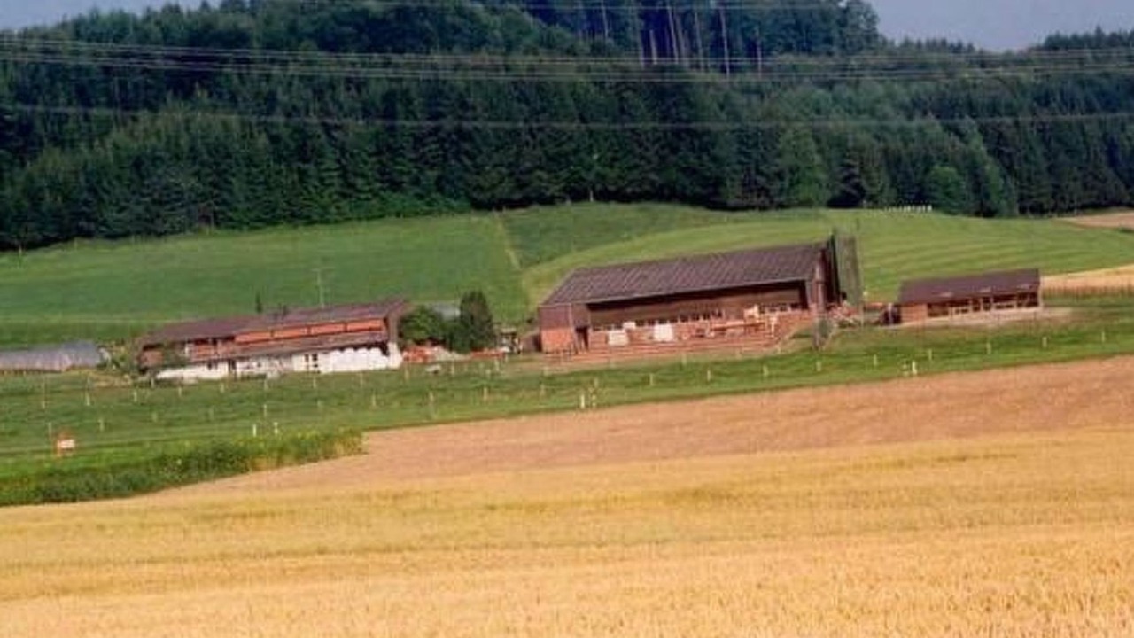 Photo of Others in Dietikon District