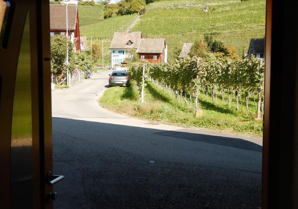 Photo of Others in Meilen District