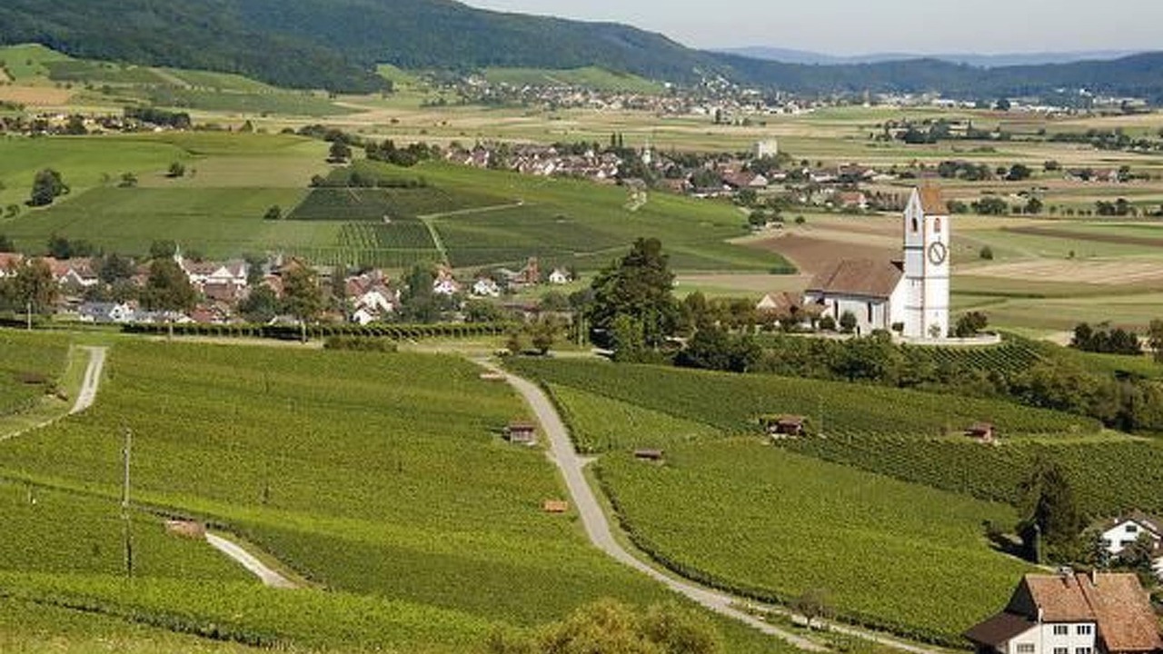 Photo of Outdoor in Hallau