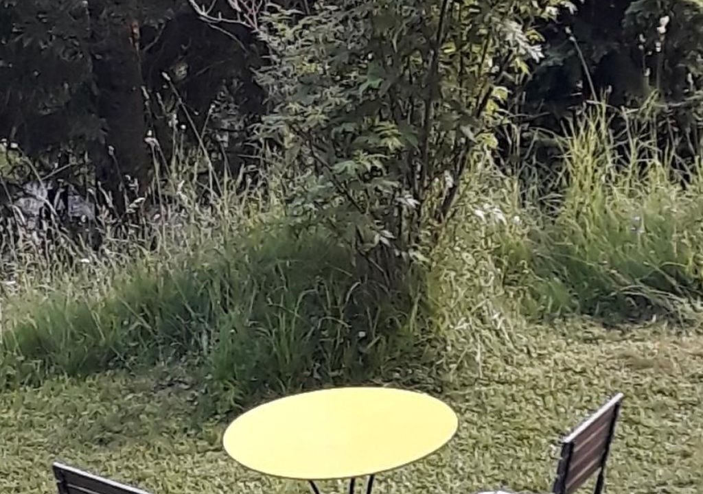Photo of Outdoor in Vitznau