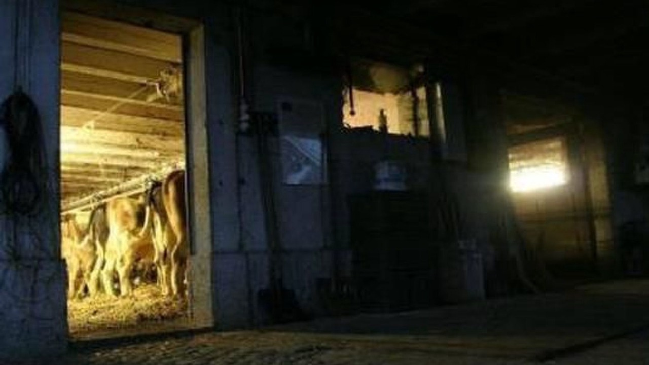 Photo of Others in Attiswil