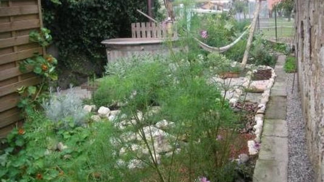 Photo of Others in Attiswil