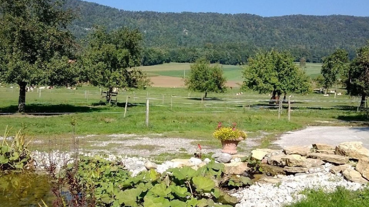Photo of Outdoor in Courroux
