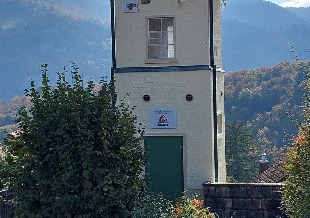 Photo of Others in Liesberg