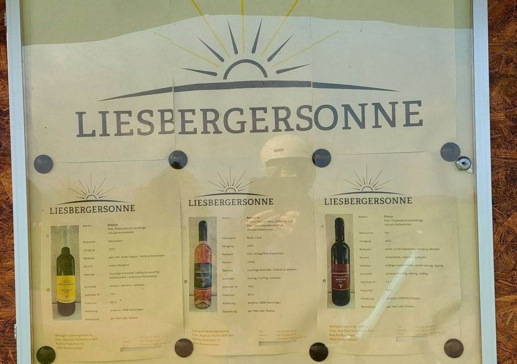 Photo of Others in Liesberg