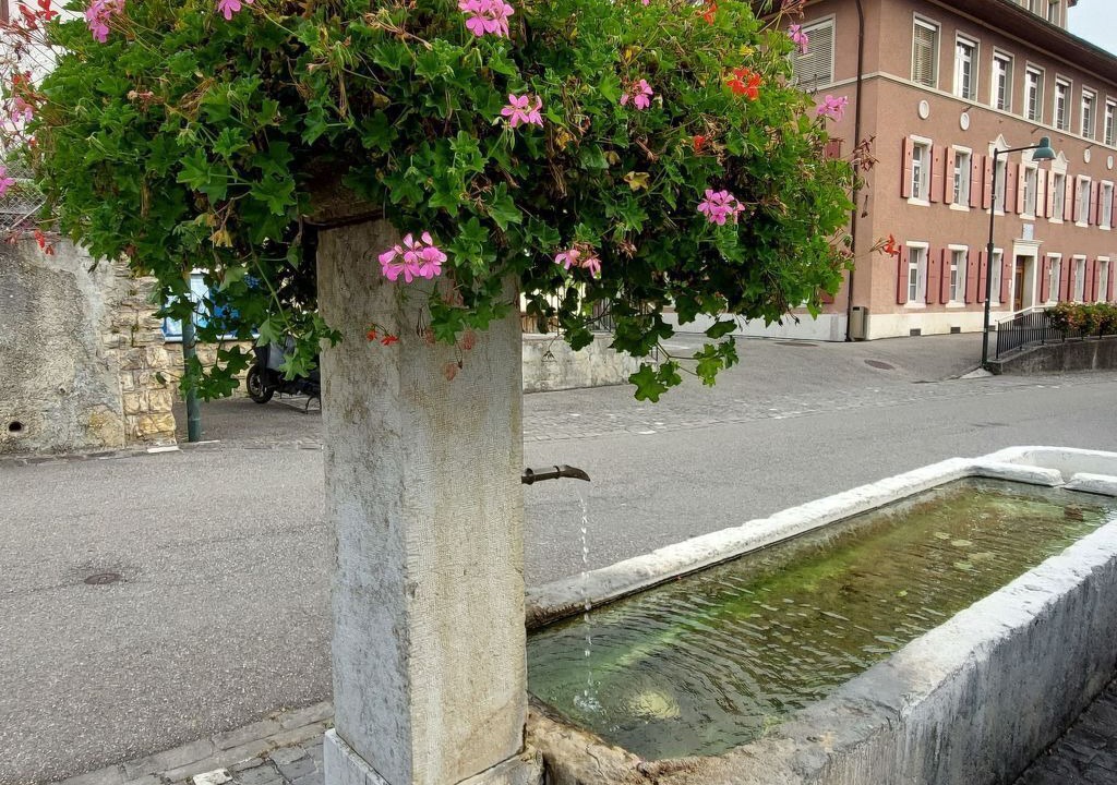 Photo of Outdoor in Liesberg