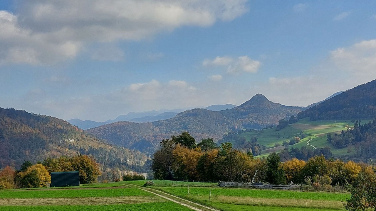 Photo of Others in Liesberg