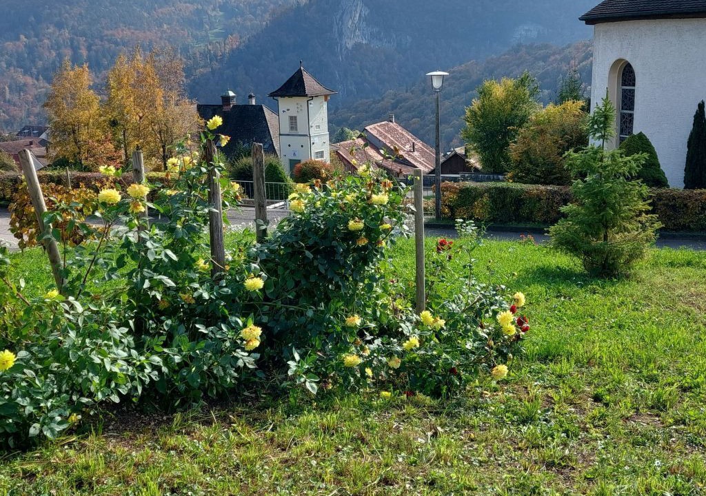 Photo of Outdoor in Liesberg