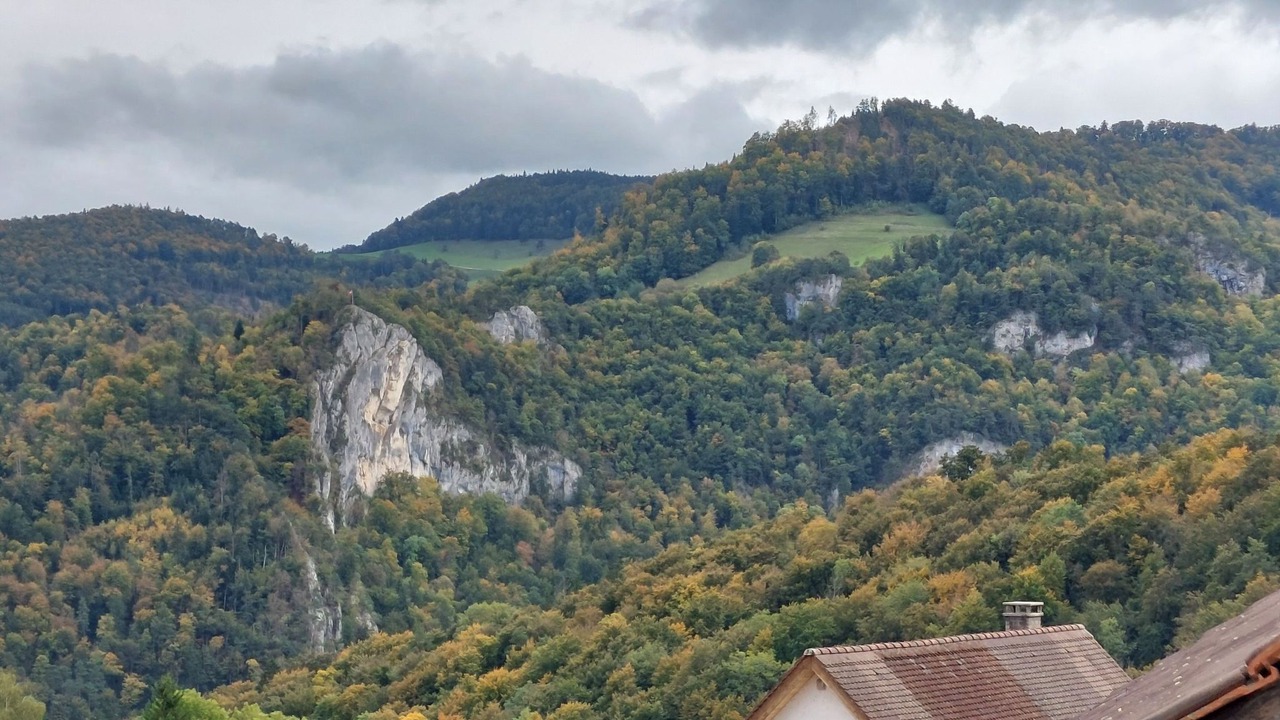 Photo of Others in Liesberg