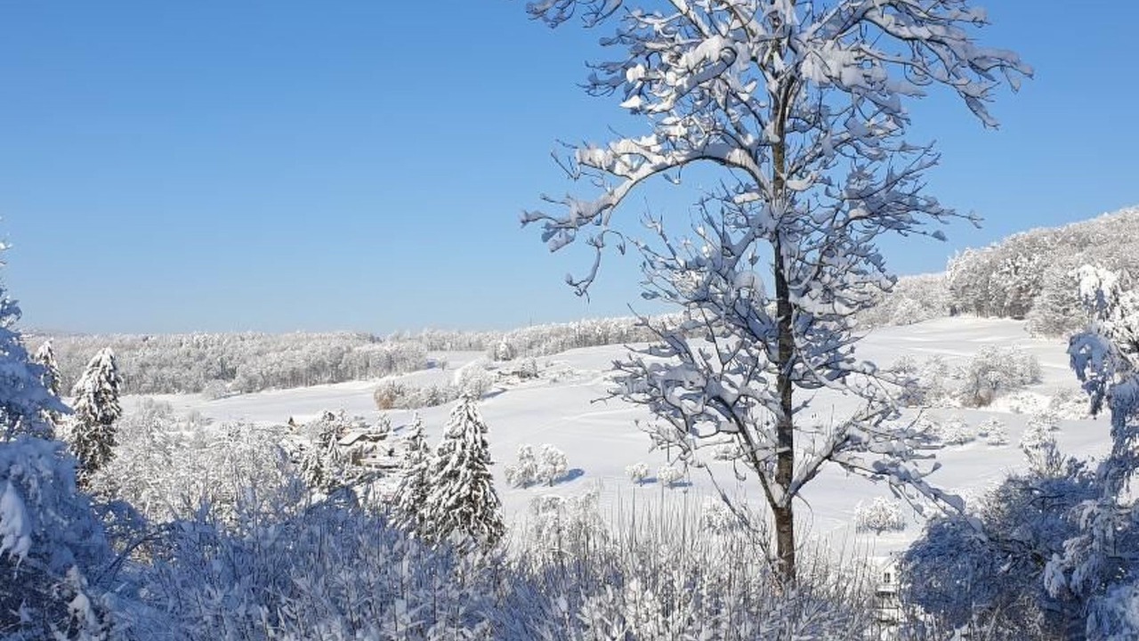 Photo of Others in Siglistorf