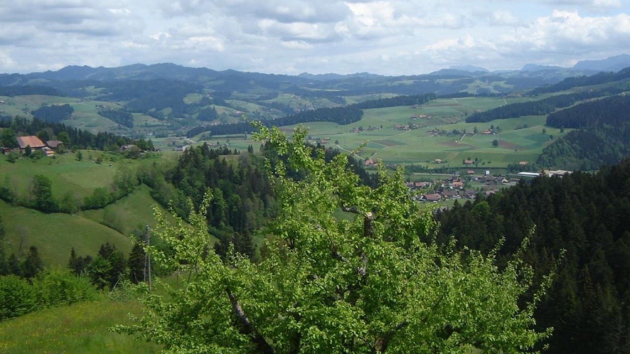Photo of Others in Signau