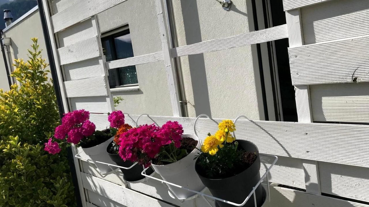 Photo of Outdoor in Saint-Leonard