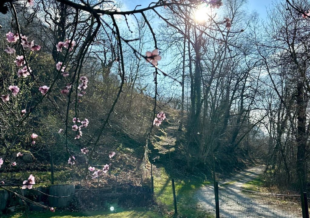 Photo of Outdoor in Grono