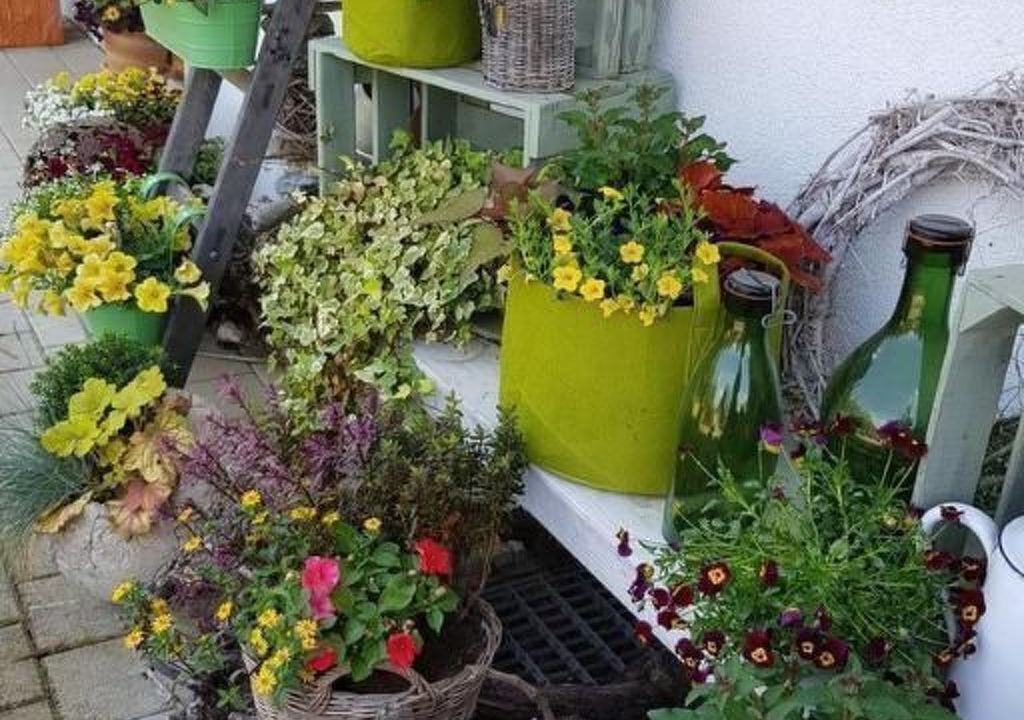 Photo of Others in Andelfingen District