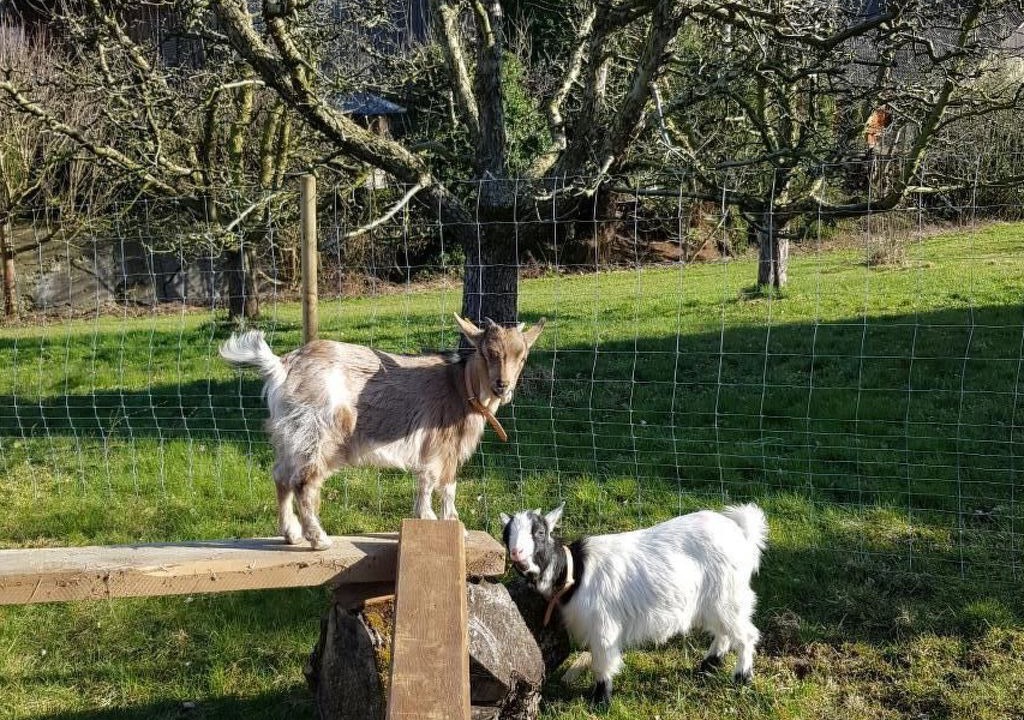 Photo of Others in Andelfingen District