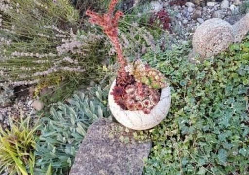 Photo of Others in Andelfingen District