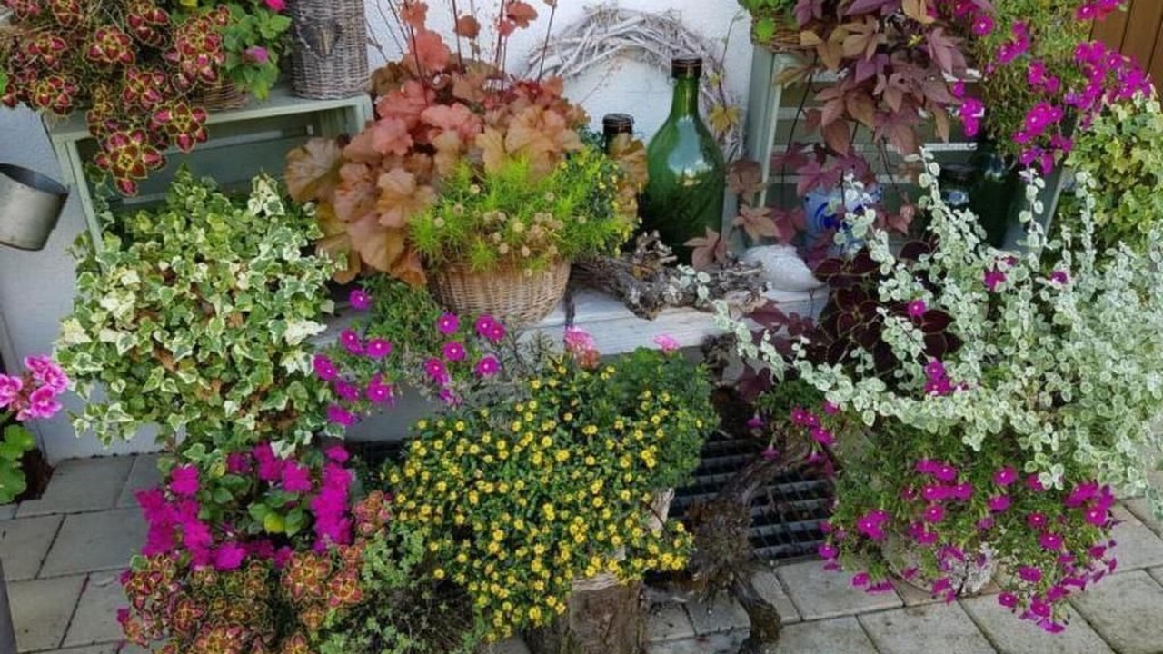 Photo of Others in Andelfingen District