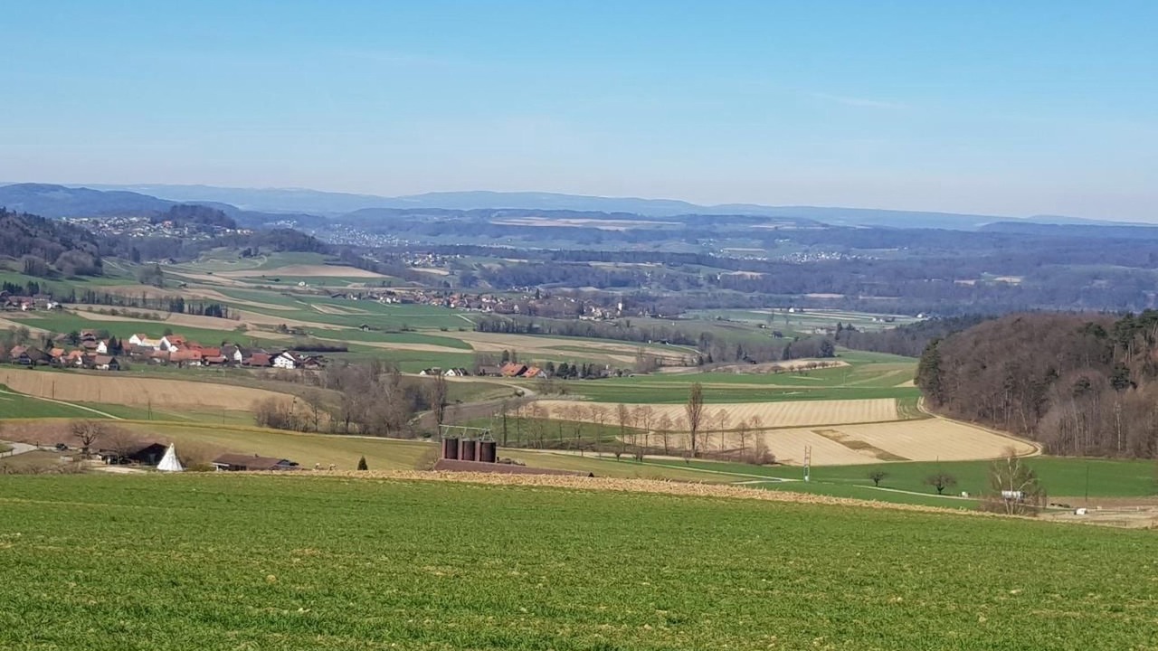 Photo of Others in Andelfingen District