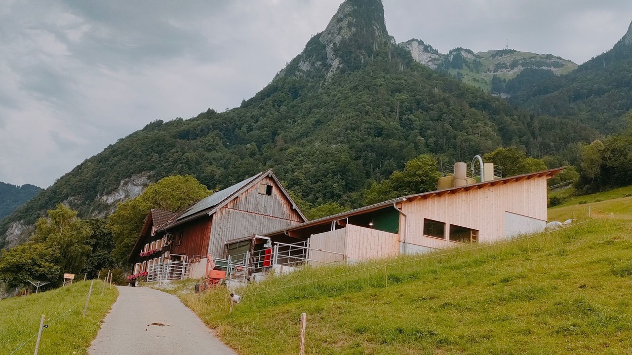 Photo of Others in Lienz