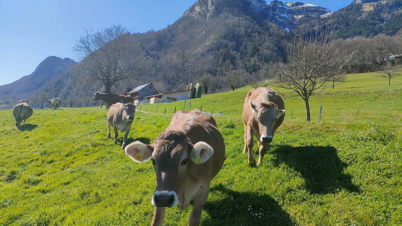 Photo of Others in Lienz