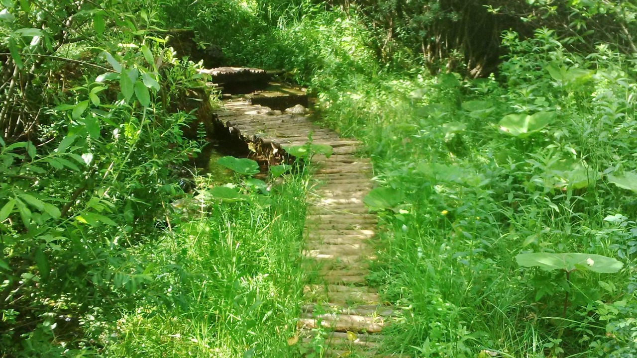 Photo of Outdoor in Rudanovac