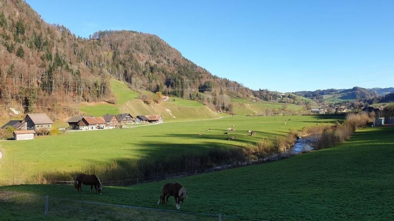 Photo of Others in Mogelsberg
