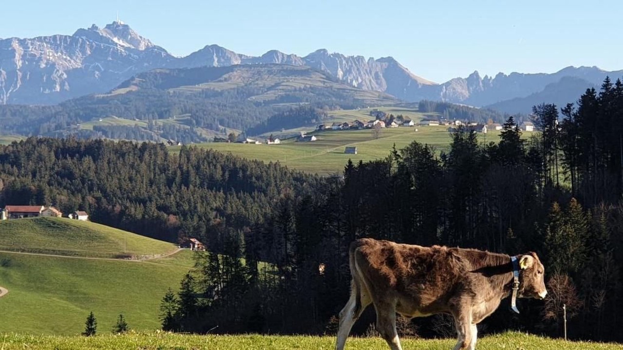 Photo of Others in Mogelsberg