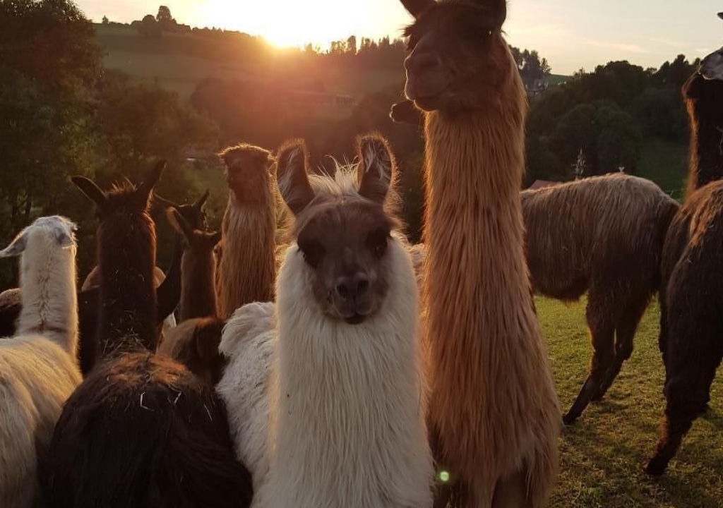 Photo of Others in Ohmstal