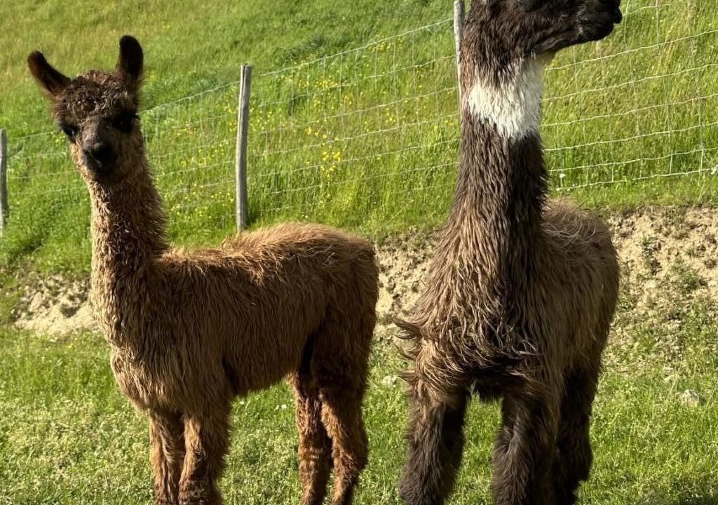 Photo of Others in Ohmstal