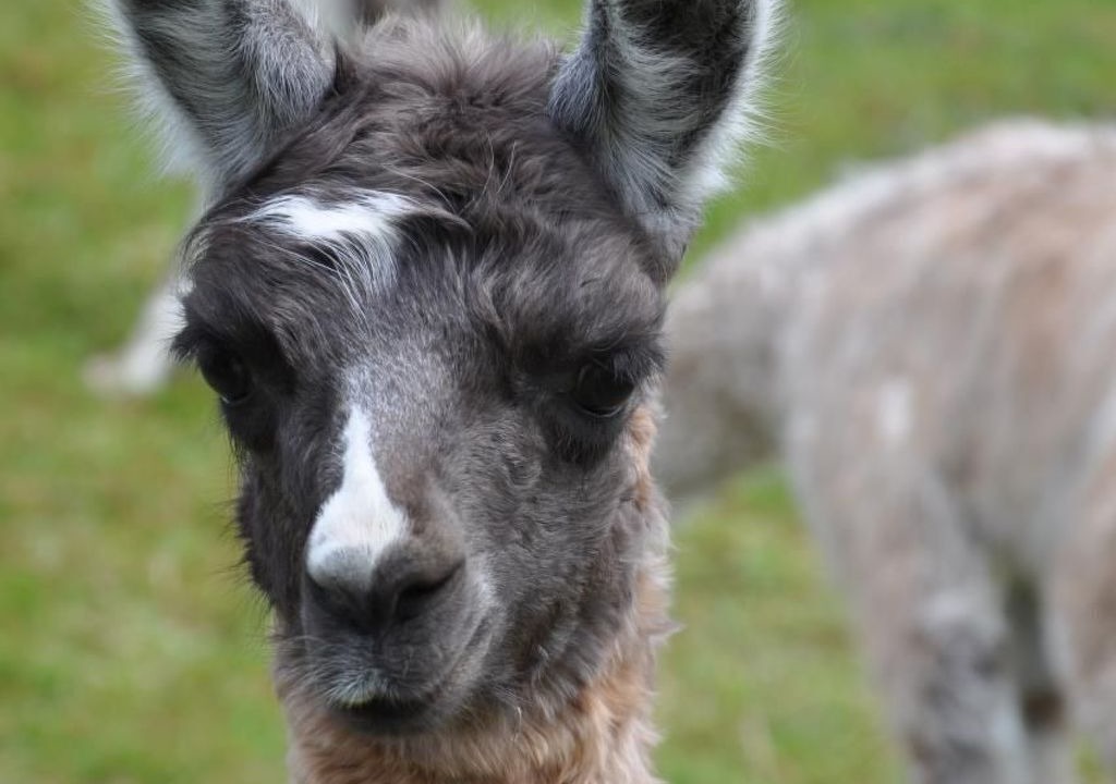 Photo of Others in Ohmstal