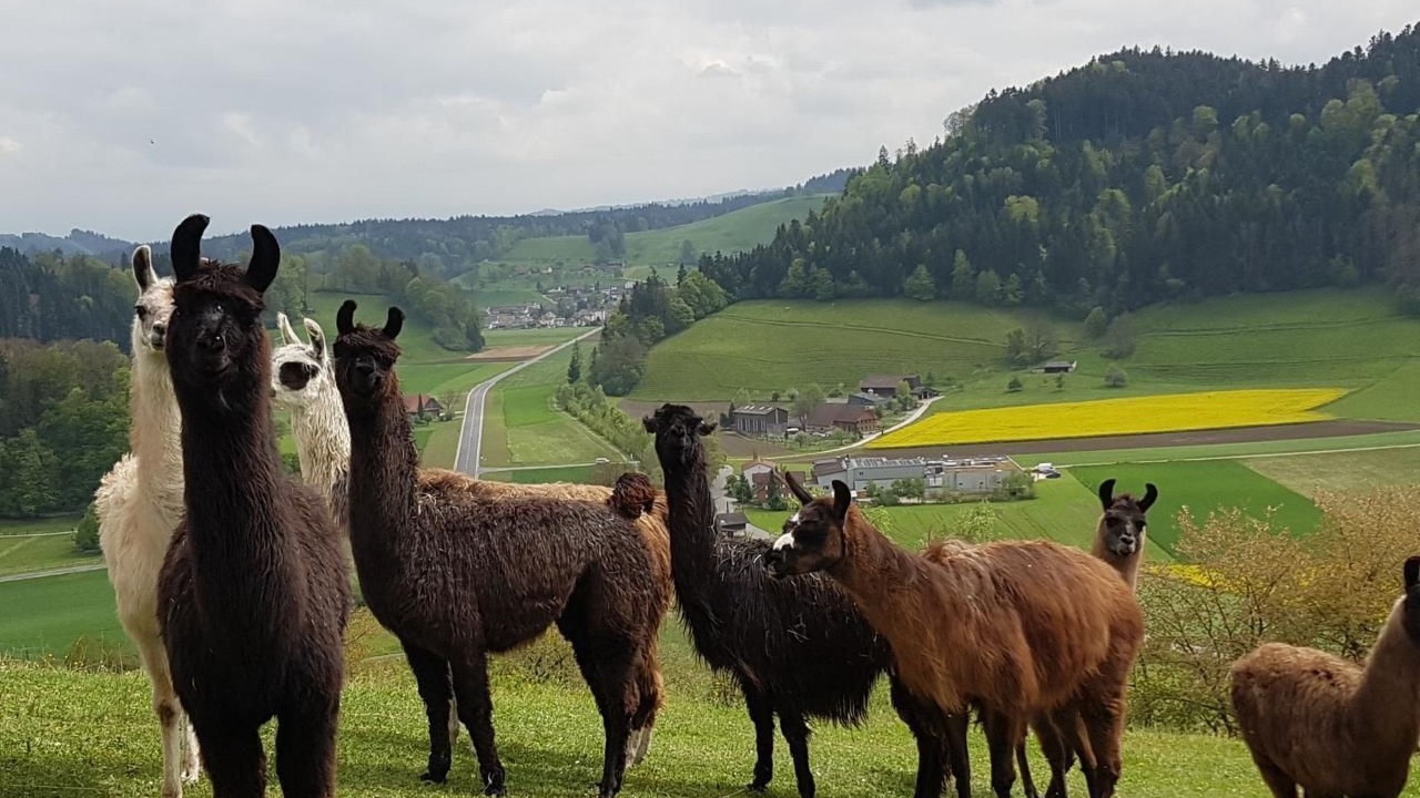 Photo of Others in Ohmstal