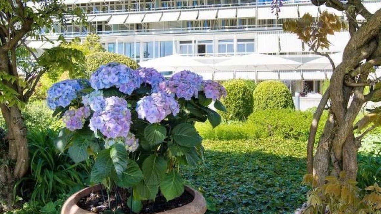 Photo of Outdoor in Meilen District