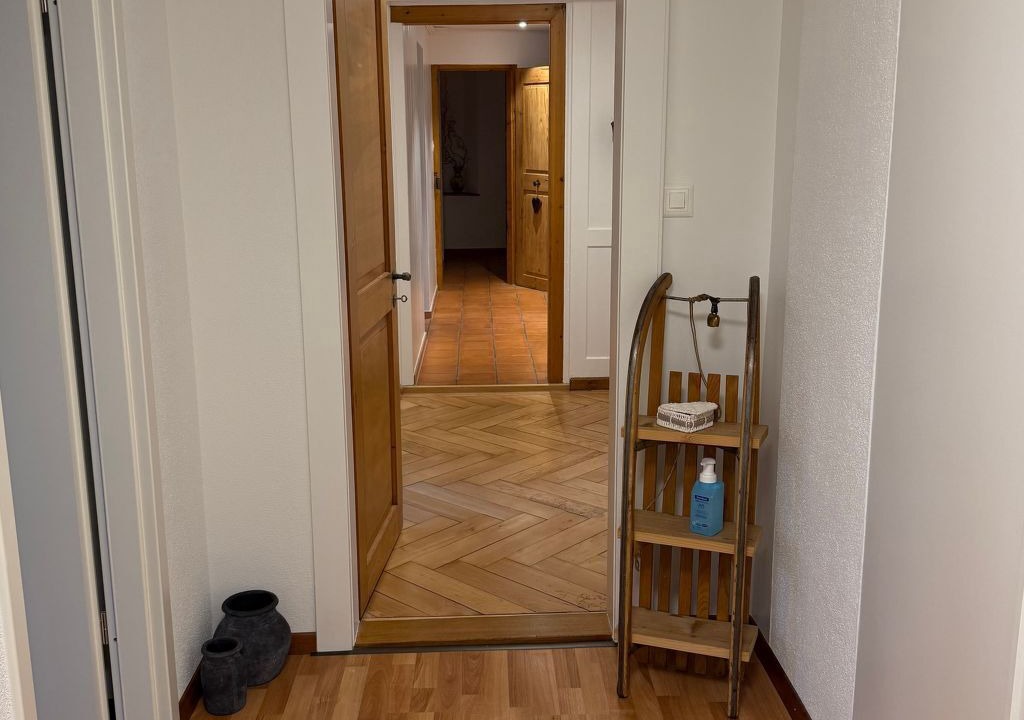 Photo of Others in Glarus Sued