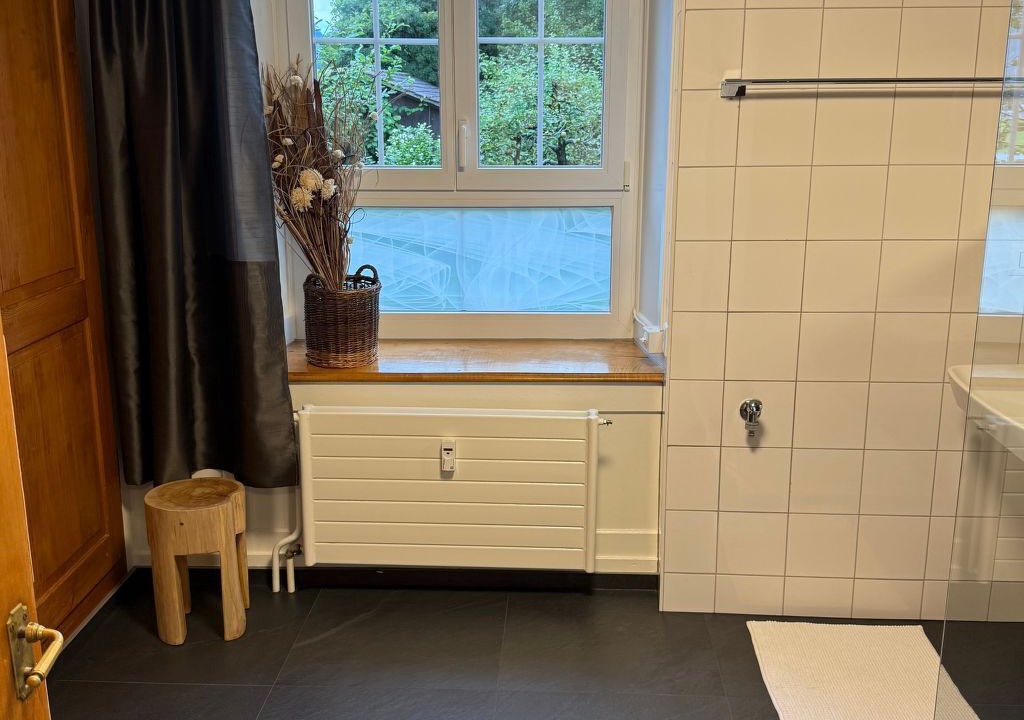 Photo of Bathroom in Glarus Sued