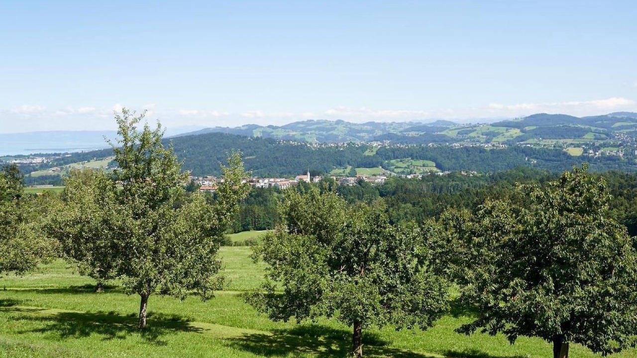 Photo of Others in Gaiserwald