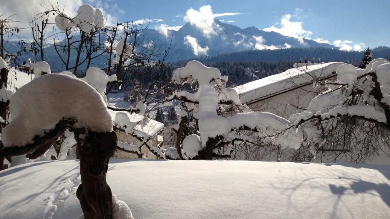 Photo of Outdoor in Flims